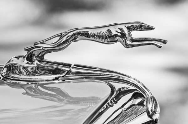 Ford Greyhound Art Print featuring the photograph Ford Greyhound Hood Ornament 2 by Jill Reger