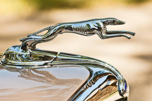 Ford Greyhound Art Print featuring the photograph Ford Lincoln Greyhound Hood Ornament by Jill Reger
