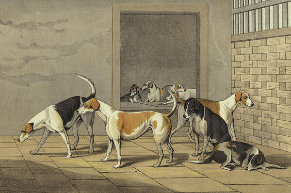 Fox Hounds Art Print featuring the painting Fox Hounds by Henry Thomas Alken