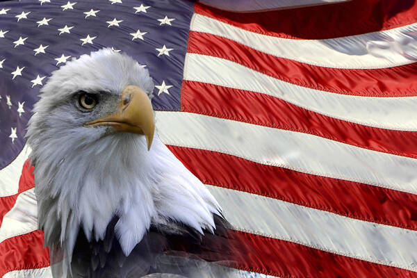America Art Print featuring the photograph  Flag Freedom Eagle by Ann Bridges