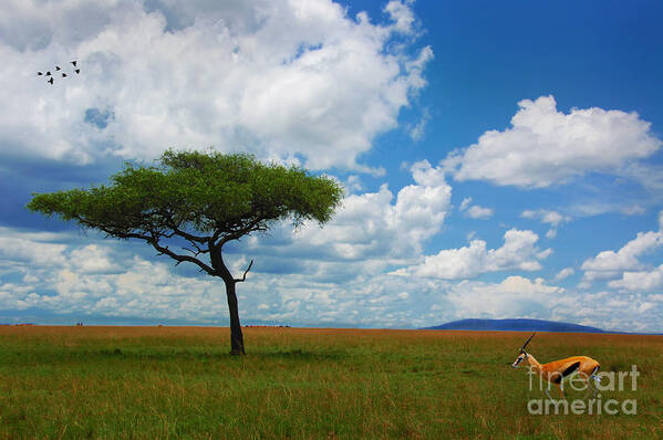 Landscape Art Print featuring the photograph Freedom by Charuhas Images