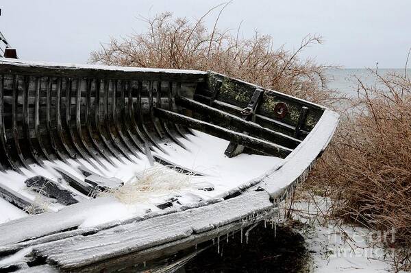 Ice Art Print featuring the photograph Fresh Coat of Ice by Sandra Updyke