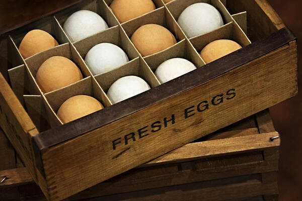 Fresh Art Print featuring the photograph Fresh Eggs by Mitch Spence
