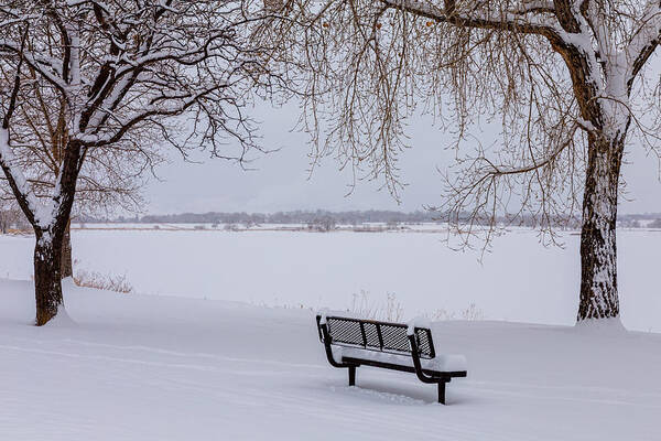 Snow Art Print featuring the photograph Fresh Fallen Snow by James BO Insogna