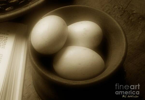 Eggs Art Print featuring the photograph Fresh from the Nest by RC DeWinter