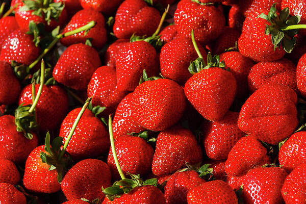 Strawberries Art Print featuring the photograph Fresh Strawberries by Daniel Murphy