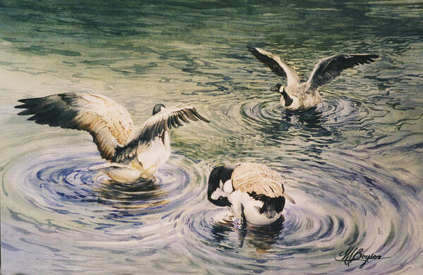 Geese Art Print featuring the painting Freshening Up II by Maryann Boysen