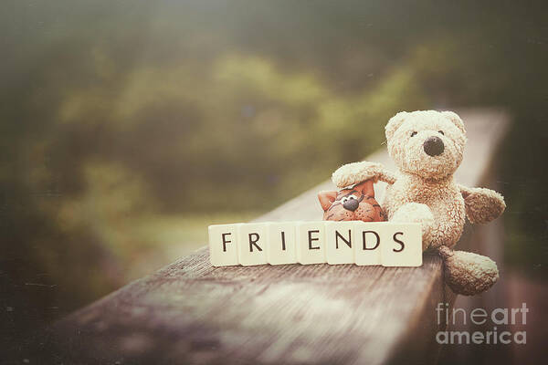 Toy Art Print featuring the photograph Friends by Giuseppe Esposito