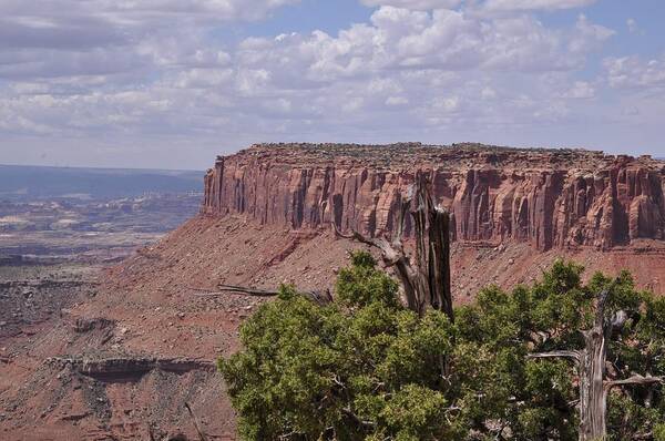 Canyonlands National Park Art Print featuring the photograph From Grand View Point-Canyonlands National Park by Frank Madia