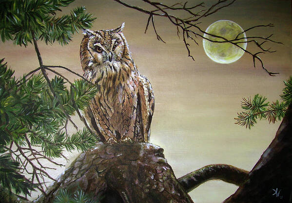 Owl Art Print featuring the painting From his Throne by Arie Van der Wijst