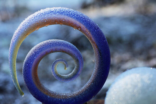 Frozen Art Print featuring the photograph Frosty Glass Swirl by Tammy Pool