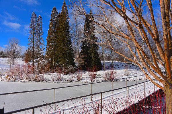 Frozen Pond Art Print featuring the digital art Frozen Pond / Chicago Botanic Garden by Vickie Courville