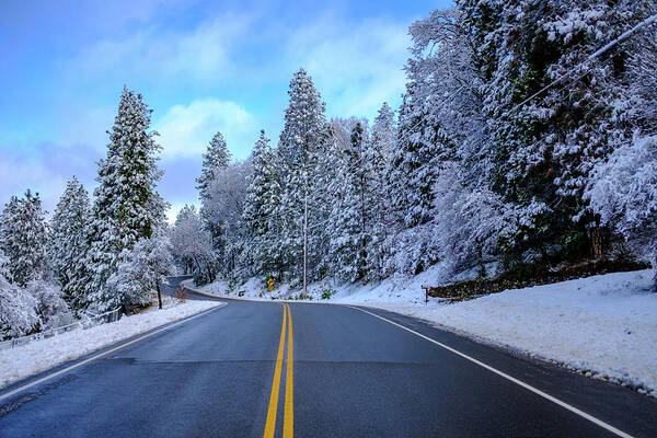Winter Art Print featuring the photograph Frozen Road by Robin Mayoff