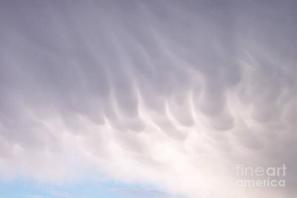 Clouds Art Print featuring the painting G-d's fingerpainting by Mordecai Colodner