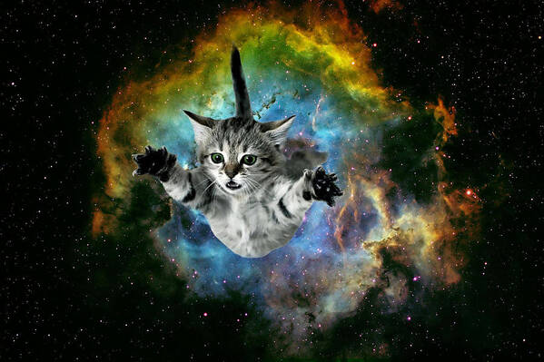 Cosmic Cat Art Print featuring the digital art Galaxy Cat Universe Kitten Launch                         by Johnnie Art