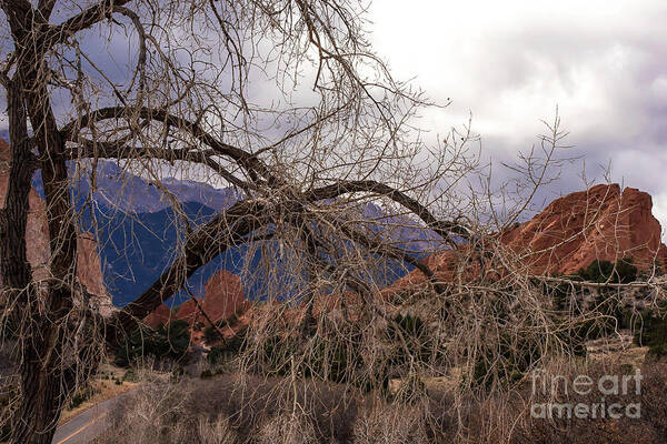 Colorado Springs Art Print featuring the photograph Garden of the Gods Entrance by Jennifer Mitchell