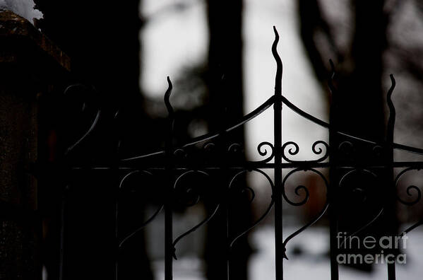 Wrought Iron Art Print featuring the photograph Gated Woods by Linda Shafer