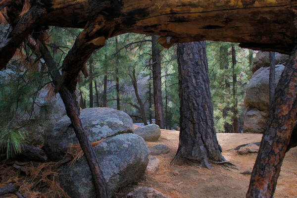 Gateway Of The Fallen Tree Art Print featuring the photograph Gateway of the Fallen Tree by Bonnie Follett