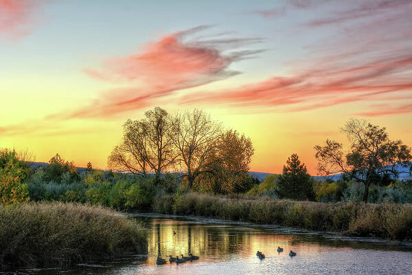 Sunrise Art Print featuring the photograph Geese by Fiskr Larsen