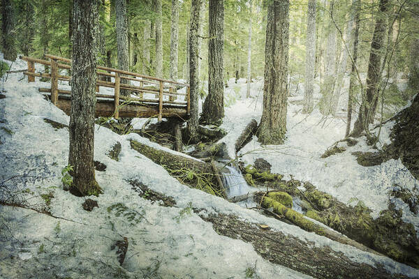 Woods. Bridge Art Print featuring the photograph Getting Through the Hard Times by Belinda Greb