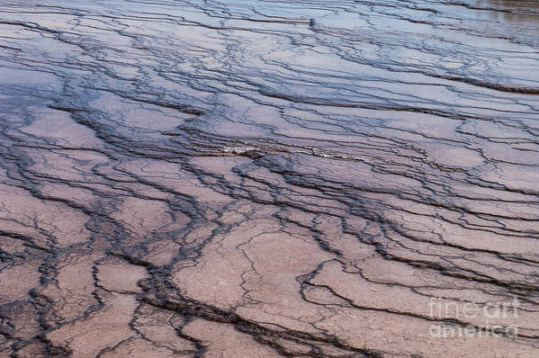 Midway Geyser Basin Art Print featuring the photograph Geyser Runoff Shapes by Bob Phillips