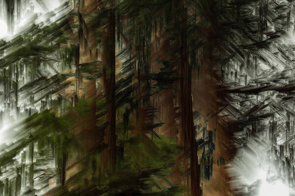 Sequoias Art Print featuring the photograph Giant Sequoias by Deborah Hughes