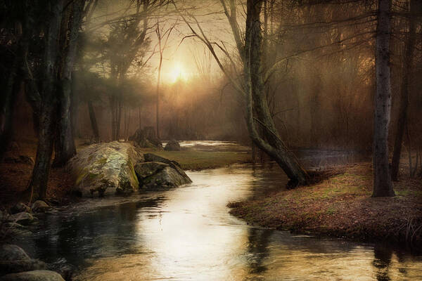 Woodland Art Print featuring the photograph Gilded Woodland by Robin-Lee Vieira