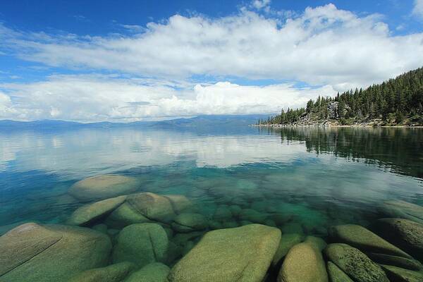 Lake Tahoe Art Print featuring the photograph Glide On Glass by Sean Sarsfield
