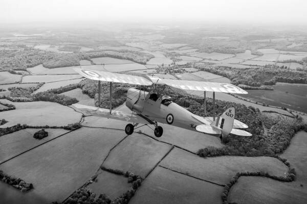 Dh.82a Art Print featuring the photograph Going solo by Gary Eason