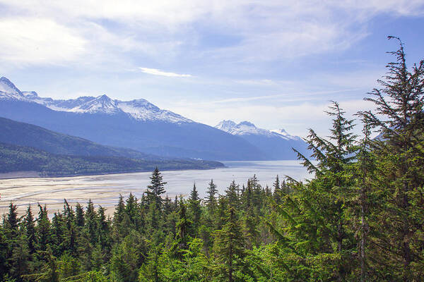 Mountain Art Print featuring the photograph Going Up the Mountain by Allan Levin