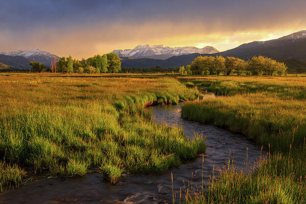 Heber Valley Art Print featuring the photograph Golden field in Heber Valley. by Wasatch Light