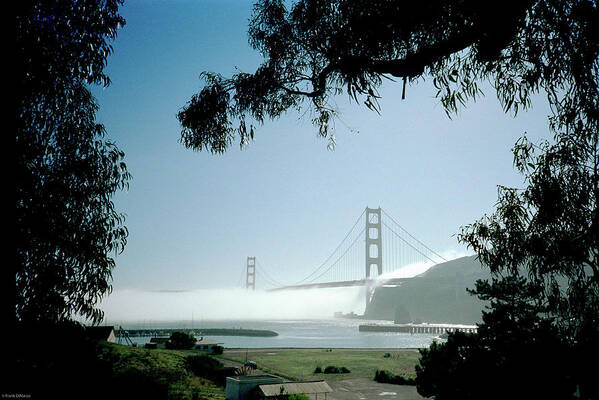 Fine Art Art Print featuring the photograph Golden Gate Fog by Frank DiMarco