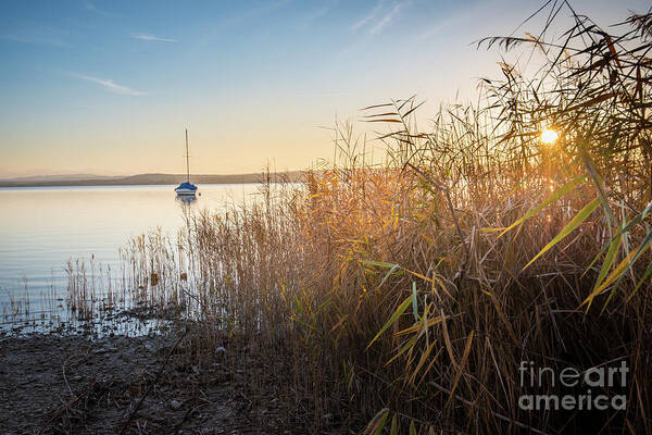 Ammersee Art Print featuring the photograph Golden hour at the lake by Hannes Cmarits