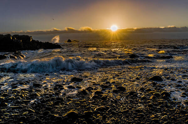 Golden Light Art Print featuring the photograph Golden Light Seascape by Marty Saccone