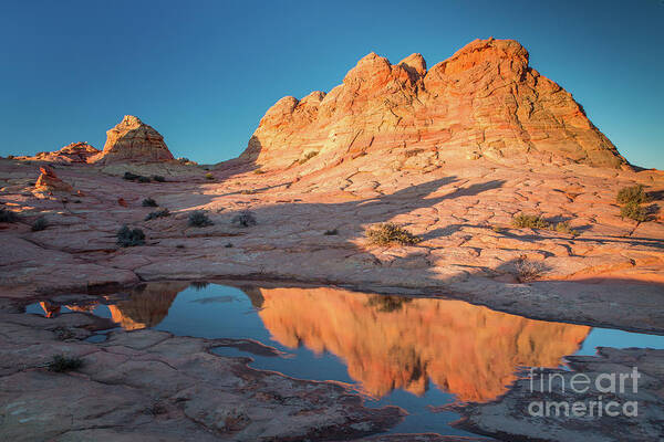South Coyote Buttes Art Print featuring the photograph Golden Pond by Bill Singleton