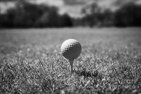 Golf Art Print featuring the photograph Golf Ball On The Tee by Joe Fox