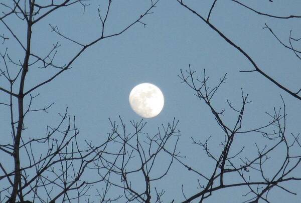 Moon Art Print featuring the photograph Good Afternoon, Moon by Betty Buller Whitehead