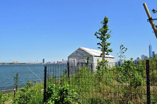 Governors Island Art Print featuring the photograph Governors Island by Sandy Taylor