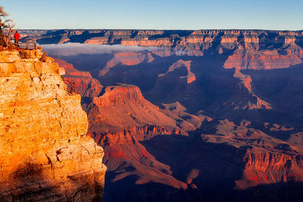 Grand Canyon National Park Art Print featuring the photograph Grand Canyon 35 by Donna Corless