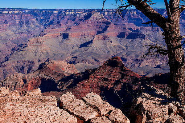 Grand Canyon National Park Art Print featuring the photograph Grand Canyon 7 by Donna Corless