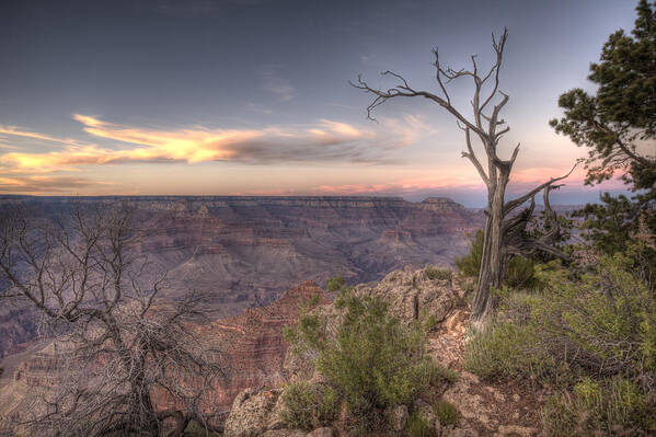 Grand Canyon Art Print featuring the photograph Grand Canyon 991 by Michael Fryd
