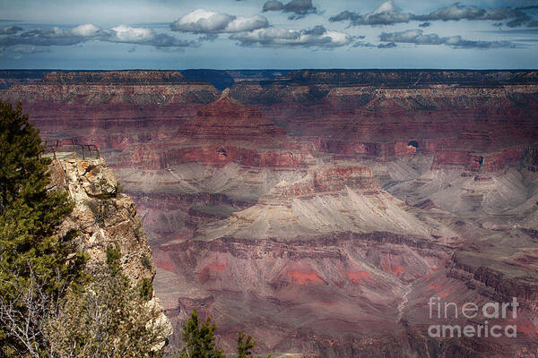 Grand Canyon Art Print featuring the photograph Grand Canyon in March by Ruth Jolly