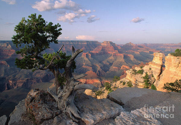 Grand Canyon Art Print featuring the photograph Grand Canyon, late afternoon by Kevin Shields