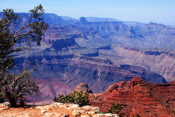 Photography Art Print featuring the photograph Grand Canyon View by Susanne Van Hulst