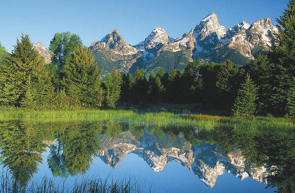 Grand Art Print featuring the photograph Grand Tetons Reflection Near Schwabacher by Ted Keller