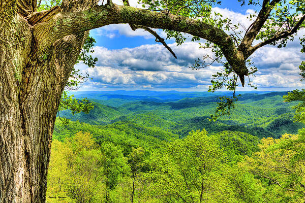 Blue Ridge Parkway Art Print featuring the photograph Grandview Overlook by Dale R Carlson