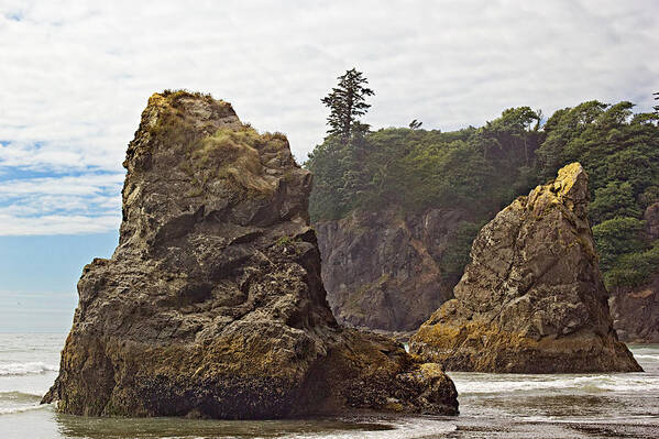 Ocean Art Print featuring the photograph Granite Stacks by Peter J Sucy