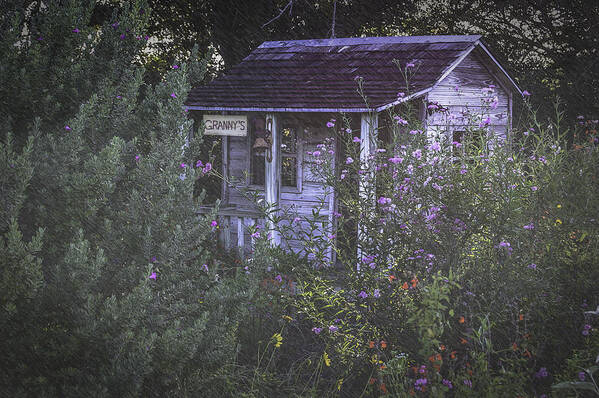 House Art Print featuring the photograph Granny's Garden House by Leticia Latocki