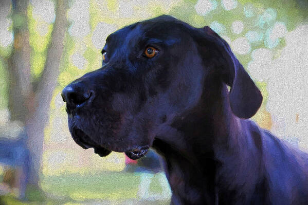 Great Dane Art Print featuring the painting Great Dane by Theresa Campbell