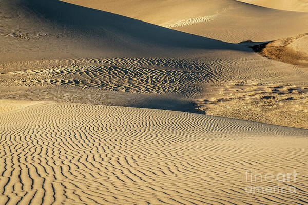 Colorado Art Print featuring the photograph Great Sand Dunes National Park by Marek Uliasz